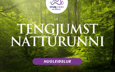 Nýr  hugleiðslupakki – Tengjumst náttúrunni – kominn í sölu! – MYNDBAND