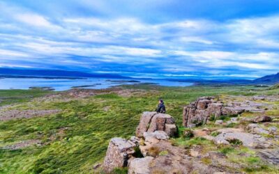 The Elementals Around You – Online workshop 29th of January